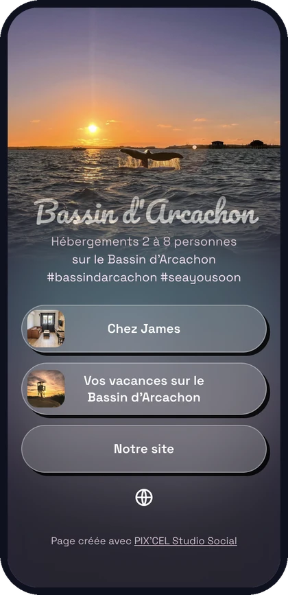Page lien en bio